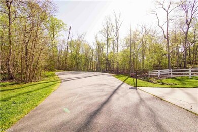Approaching the cul-de-sac on Big Tree Road