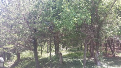 Hiking paths into the acreage and to the cabin.