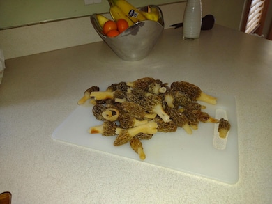 2222 101st Ave, Otsego, MI 49078 - photo 7