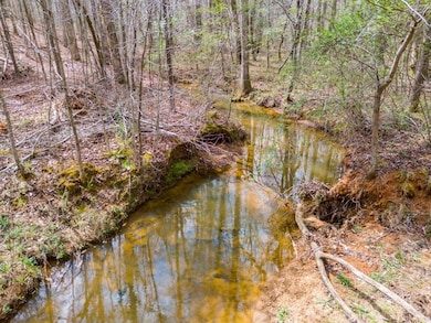 0 Clem Lowell Rd unit 147578, Carrollton, GA 30116 - photo 2