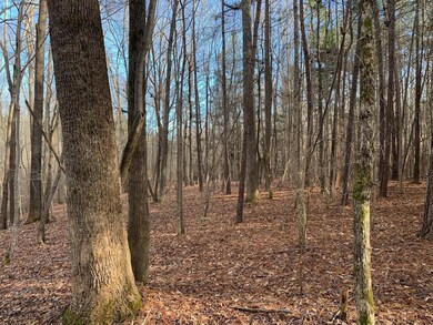 4120 N Carolina 96, Oxford, NC 27565 - photo 2