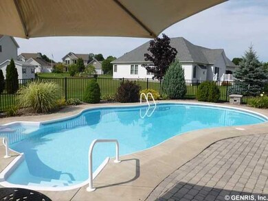 Pool In Ground