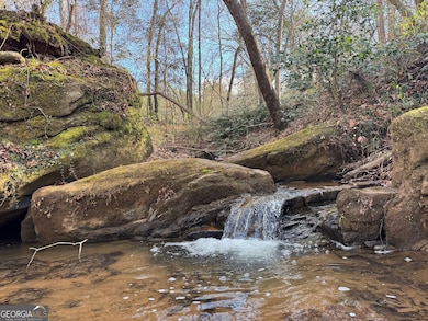 1190 James Adams Rd, Danielsville, GA 30633 - photo 2