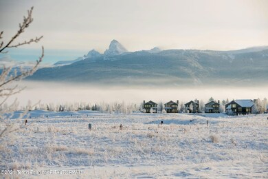 Winter Scenes