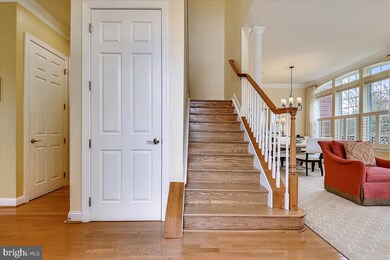 6333 Canter Way, Baltimore, MD 21212 - photo 5