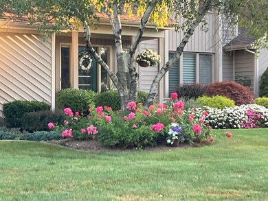 Front in summer