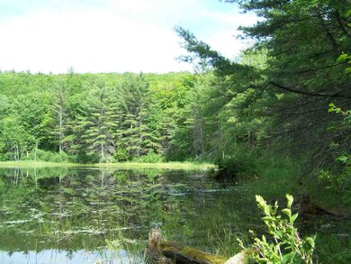 00 Borough Rd, Canterbury, NH 03224 - photo 5