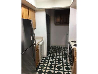 Updated kitchen cabinets, an electric stove and di