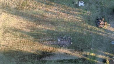 temp_image_for_default_share