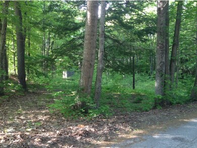 Southeast corner of property
