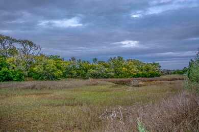 _DSC1481
