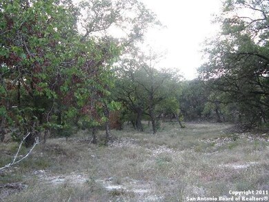 19631 Terra Mont, San Antonio, TX 78255 - photo 4