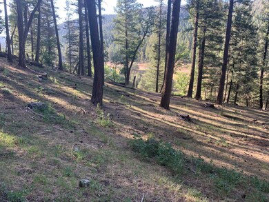 0 Canyon Trail unit 85 168237, Cloudcroft, NM 88317 - photo 3