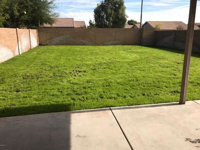 Back yard