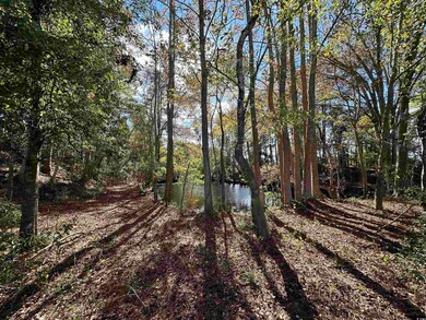 TBD Terry Rd, Andrews, SC 29510 - photo 2