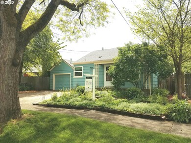 Front Yard