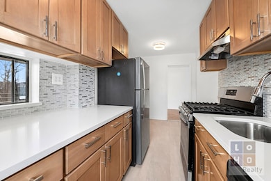 Seward Park Housing unit A307, New York, NY 10002 - photo 4