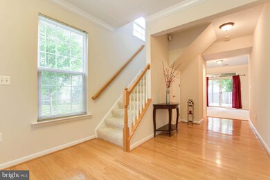 46794 Vermont Maple Terrace, Sterling, VA 20164 - photo 5