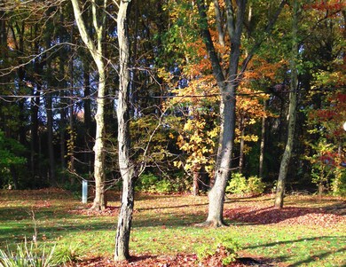 photo 1(1)