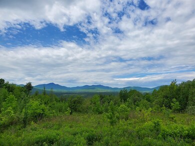 00 Bergeron Rd unit 1, North Troy, VT 05859 - photo 5