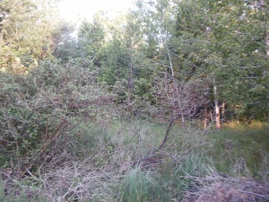 0 W Fairway St unit 18042237, Onekama Township, MI 49675 - photo 6