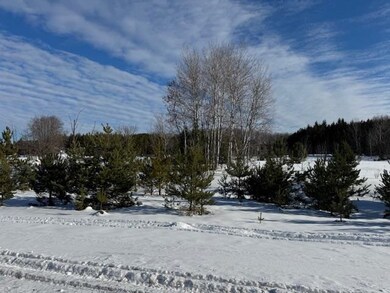 TBD S Us 131, Boyne Falls, MI 49713 - photo 3