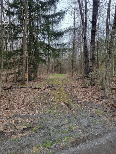 0 Post Hill Rd unit 202415587, Taghkanic, NY 12521 - photo 2