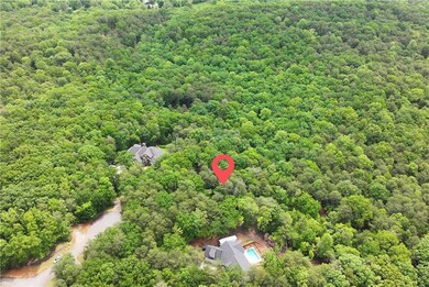 Bird's eye view of a heavily wooded area