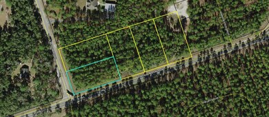 Lot 3 & 4 E Ivan Rd, Crawfordville, FL 32327 - photo 3