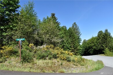 18224 248th Ave E, Orting, WA 98360 - photo 6