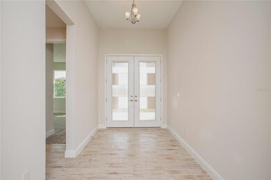 6106 Hidden Branch Dr, Apollo Beach, FL 33572 - photo 5