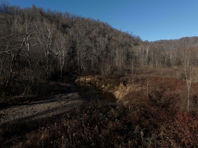 000 Erline Rd, Oneida, KY 40972 - photo 5