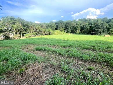 117 Chandler Mill Rd, Kennett Square, PA 19348 - photo 5