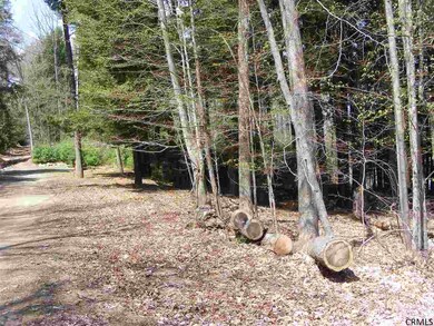 0 Eastern Ave unit 201334613, Day, NY 12835 - photo 2