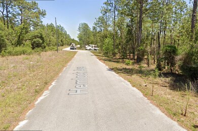 TBD NW Hemlock Ave, Dunnellon, FL 34431 - photo 5