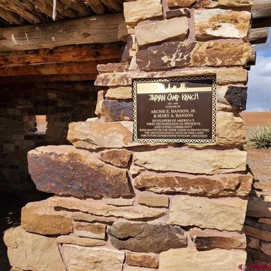 9630 Pueblo Ruins Rd, Cortez, CO 81321 - photo 4