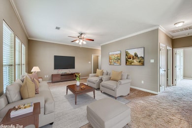 0 Lazy Creek Trail unit 20029984, Conway, AR 72032 - photo 4