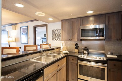 St James Place unit 207, Week 37, Beaver Creek, CO 81620 - photo 7