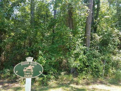 0 Subdivision Rd unit 310512, Lloyd, FL 32344 - photo 2