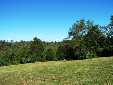 815 Grows Mill Rd, Wilmore, KY 40390 - photo 7