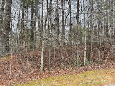 00 Cypress Creek Ln unit 22, Hendersonville, NC 28791 - photo 7