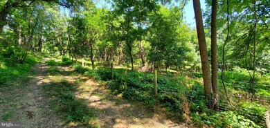 513 519 Blue Ln, Columbia, PA 17512 - photo 7