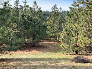 0 Mt View Rd unit 22356620, Lyle, WA 98635 - photo 5