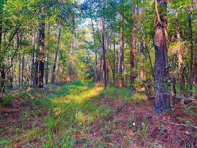 3050 James Dr NW, Wesson, MS 39191 - photo 3