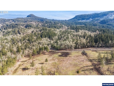 Lot 1st St, Harrisburg, OR 97446 - photo 6