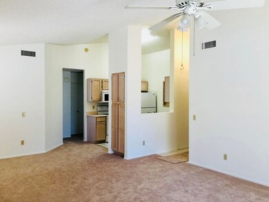 Entry to Great Room