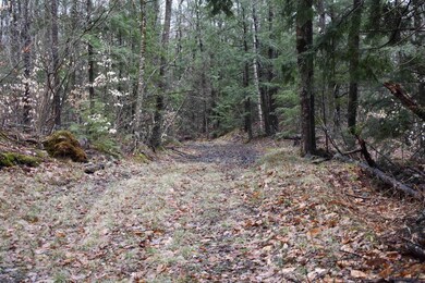 0 E Side Rd unit 4905806, Wentworth, NH 03223 - photo 3