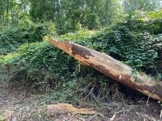 wooded lot 7c