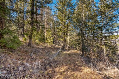 116 Travis Rd, Edwards, CO 81632 - photo 7