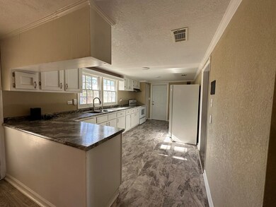 41 W Georgia Ave, Denton, GA 31532 - photo 5